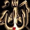 user1193541915506