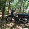 famylimulya