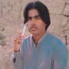 basherjan02