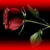 jalal.mhammed