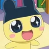 c.ringo0126