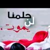 user6283873807540