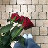 narminss_18