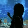 yourdanica7