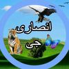 itx.hassan199