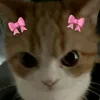 wanna.bea.urs