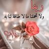 user4507059800944