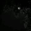 van.trung199