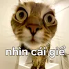 nguyen_votri10