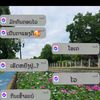 user8424667903221