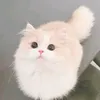 misscathyuh