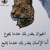 user9581115748224