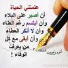 user2148229328714