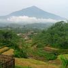 hamzahputra91gmail.com