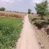 azizthathialia
