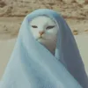 x_cut11