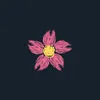 popo._78