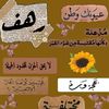 user3318688072561