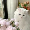 malak.mm103