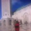 mostafa.atif83