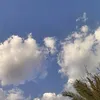 aimnamadrid1