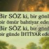 defnetoprak35