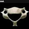 abdilljjnabgmail.com3