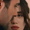 msf_._m