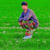 user2730514903790