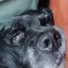 santificato7