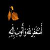 user14162355531451