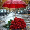 ابن العراق