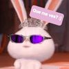 celine_arreola2