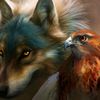 haitham.hasan0