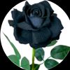 amina.akther27