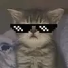 zaul_leo