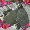 user6908132422938