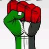 jjwarda