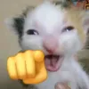 rumiz004
