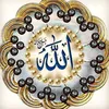 Daniyalali_22