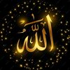 user305920568