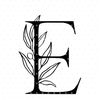 edithkrft
