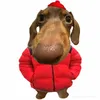 hocngulamlenkodcyeuem
