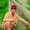 zalme.gogar.king