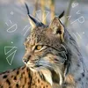 therianthropy1
