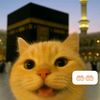 zain61907