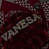 vanessa41666