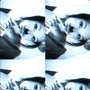 citraa_ajh