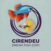 cirendeu.dream.fi