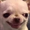user1413312612137
